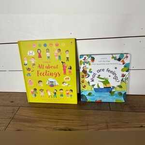 Usborne Children's Feelings Books Set